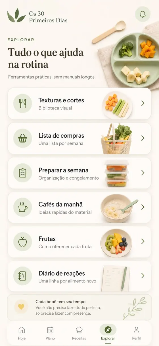 Tela principal do webapp Os 30 Primeiros Dias mostrando o plano do dia